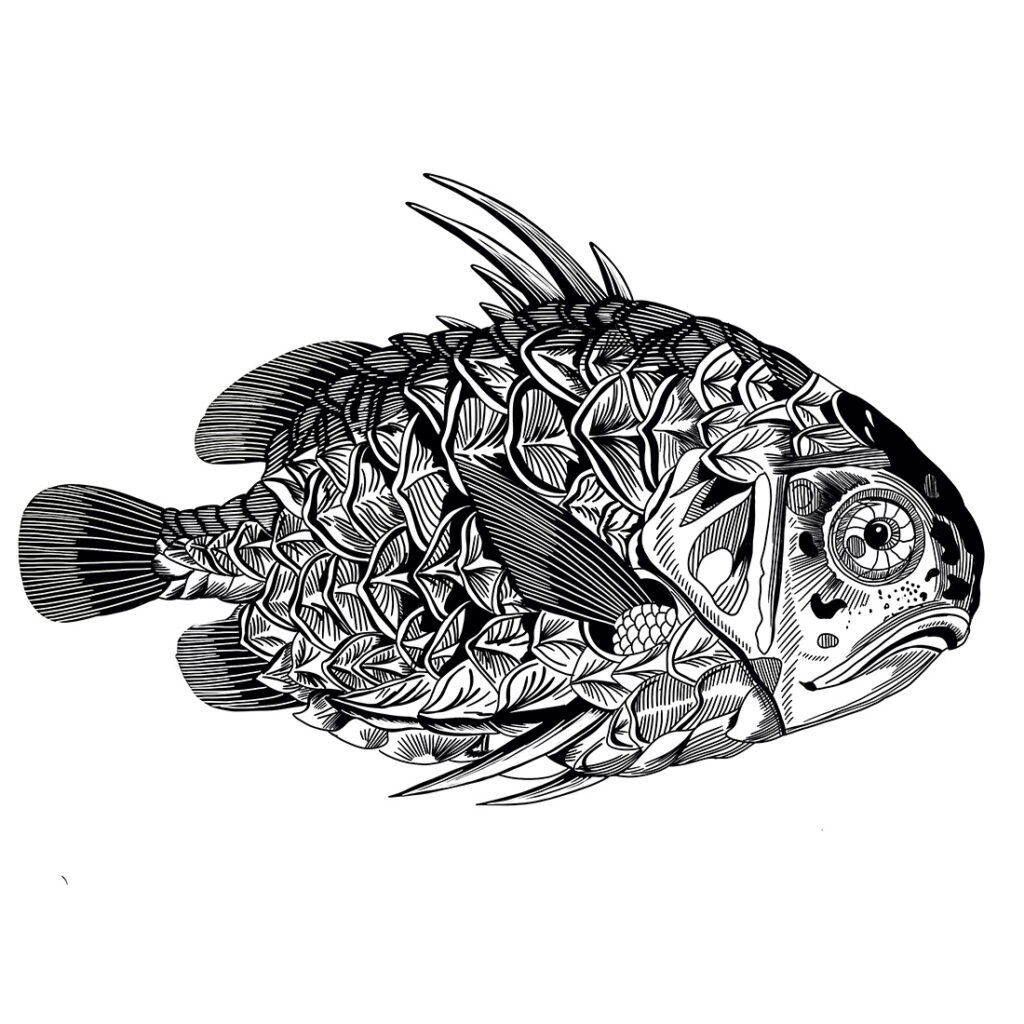 Digitale Zeichnung eines Fisches.